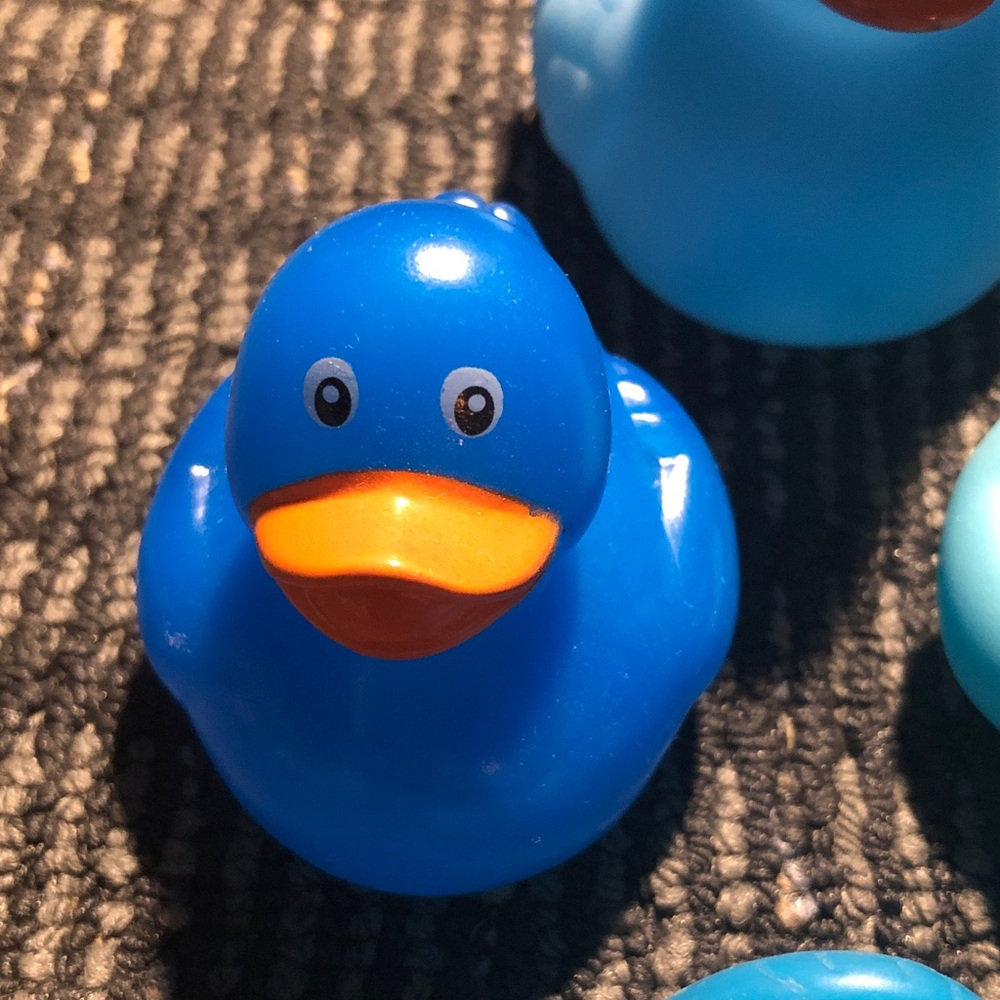💐 Set of Blue Rubber Ducks - Picture 6 of 9